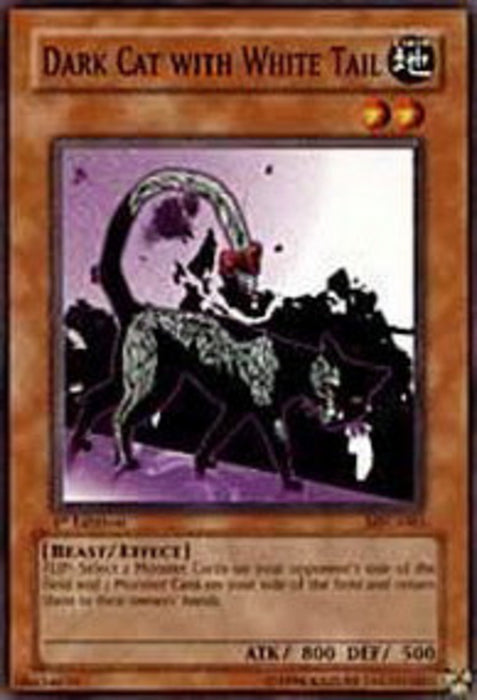 Dark Cat with White Tail MFC-EN083 Common Englisch