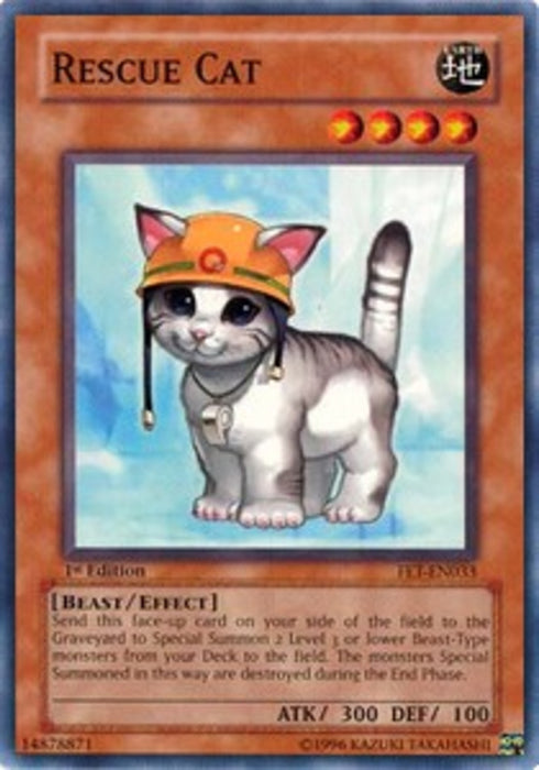Rescue Cat FET-FR033 Common Französisch