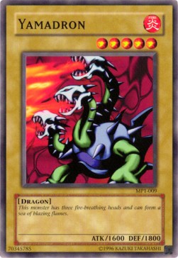 Yamadron MP1-EN009 Common Englisch