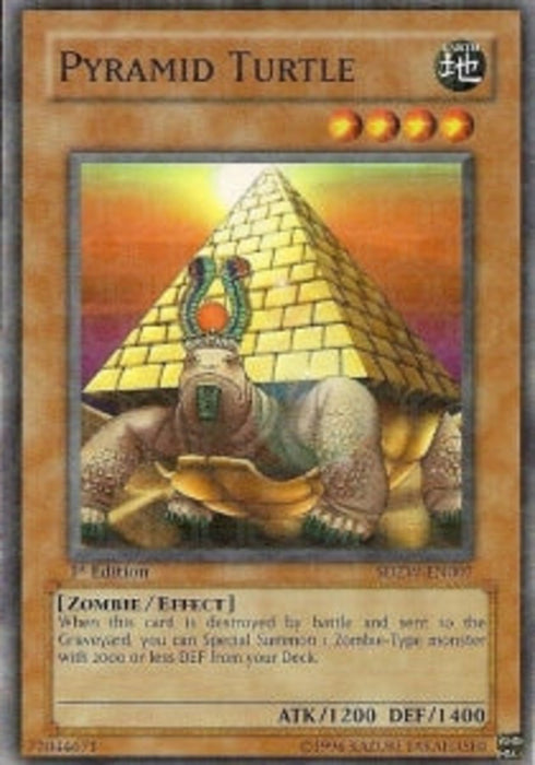 Pyramid Turtle SDZW-EN007 Common Englisch