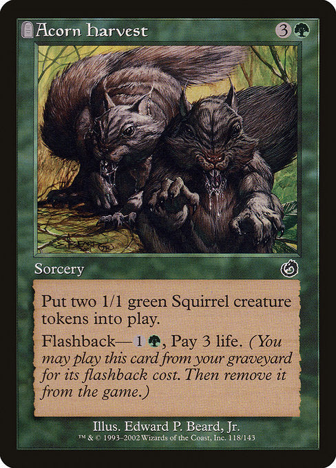 Magic: Acorn Harvest