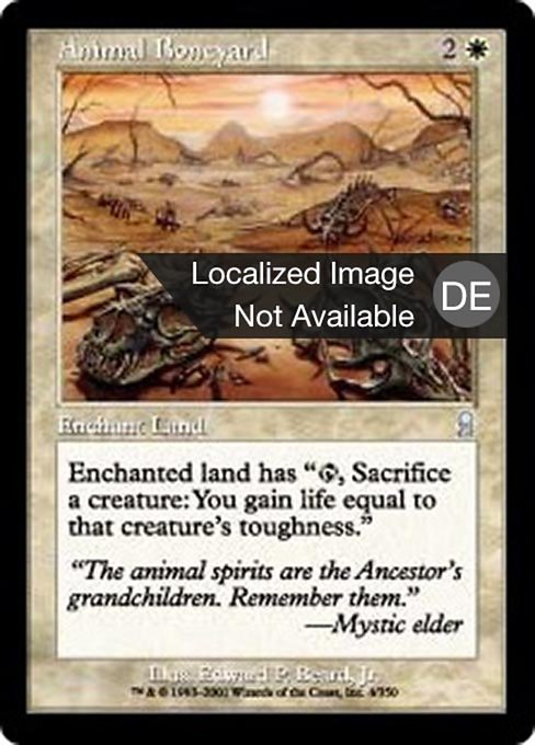 Magic: Animal Boneyard
