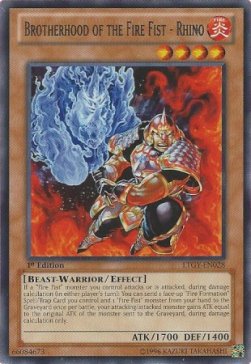 Brotherhood of the Fire Fist - Rhino LTGY-EN028 Rare Englisch