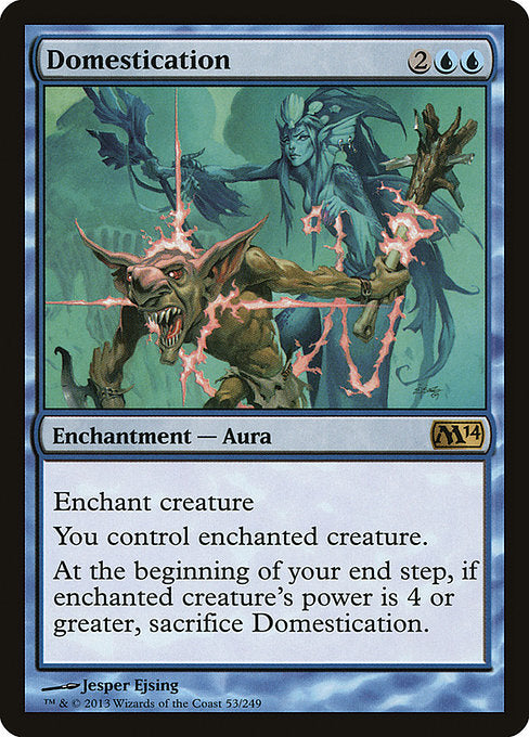 Magic: Domestication