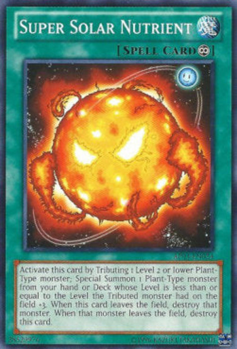 Super Solar Nutrient AP03-EN024 Common Englisch