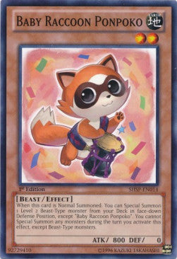 Baby Raccoon Ponpoko SHSP-EN014 Common Englisch