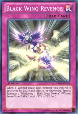 Black Wing Revenge DRLG-EN031 Super Rare Englisch