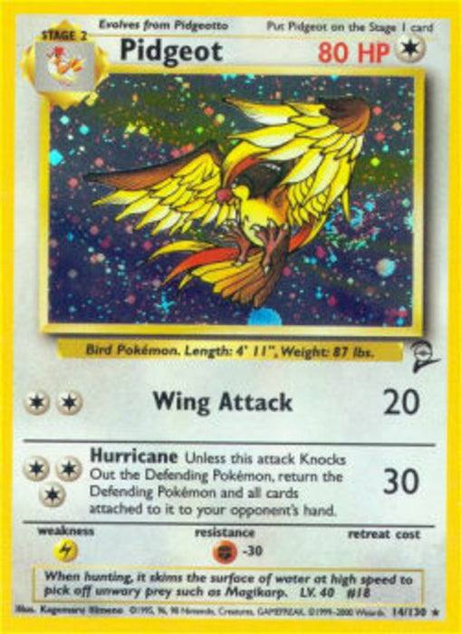 Pidgeot B2-14 Holo Rare Englisch