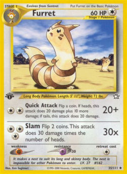 Furret NG-35 Uncommon Englisch