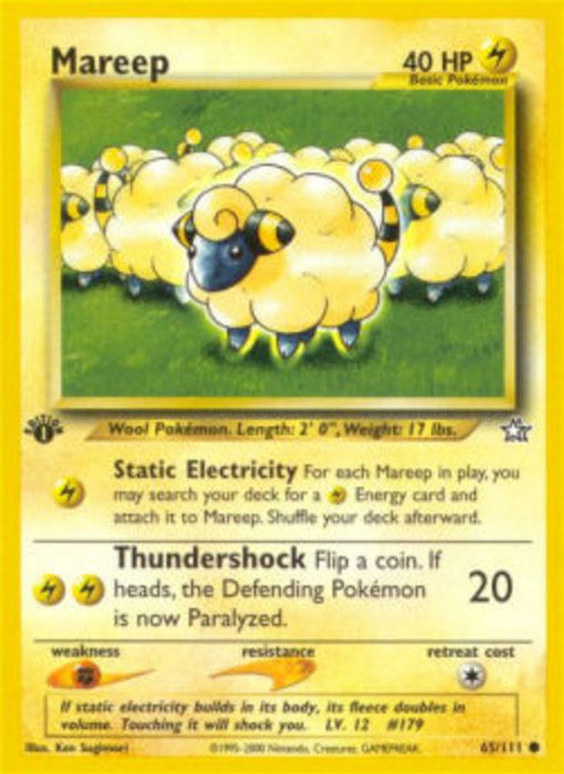 Mareep NG-65 Common Englisch