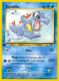 Totodile NG-80 Common Englisch