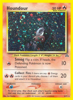 Hunduster NDI-5 Holo Rare Deutsch