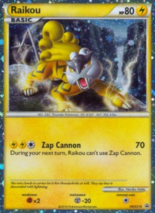 Raikou HGSS-19 Promo Deutsch