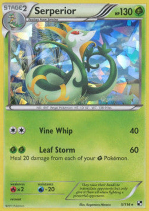 Serperior BLW-5 Holo Rare Deutsch