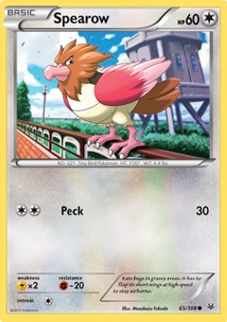 Spearow ROS-65 Common Englisch