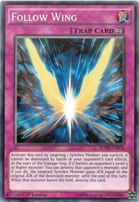 Follow Wing BOSH-EN070 Common Englisch