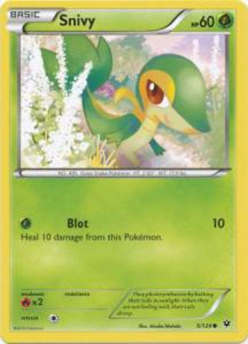 Snivy FCO-5 Common Englisch