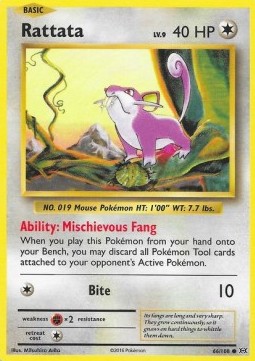 Rattata EVO-66 Common Spanisch