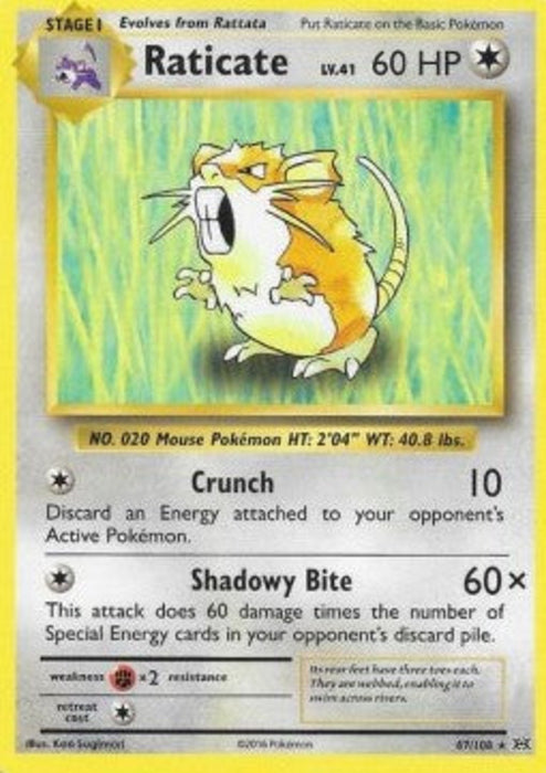 Raticate EVO-67 Rare Englisch