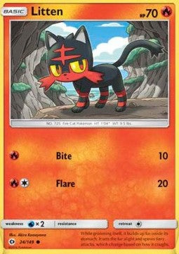 Litten SUM-24 Common Englisch