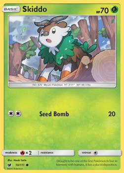 Skiddo CIN-10 Common Englisch