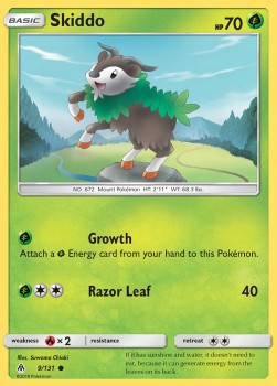 Skiddo FLI-9 Common Englisch