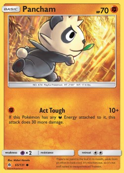Pancham FLI-65 Common Deutsch