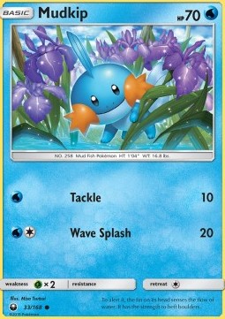 Mudkip CES-33 Common Deutsch