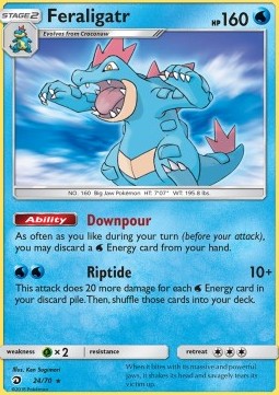 Feraligatr DRM-24 Holo Rare Englisch