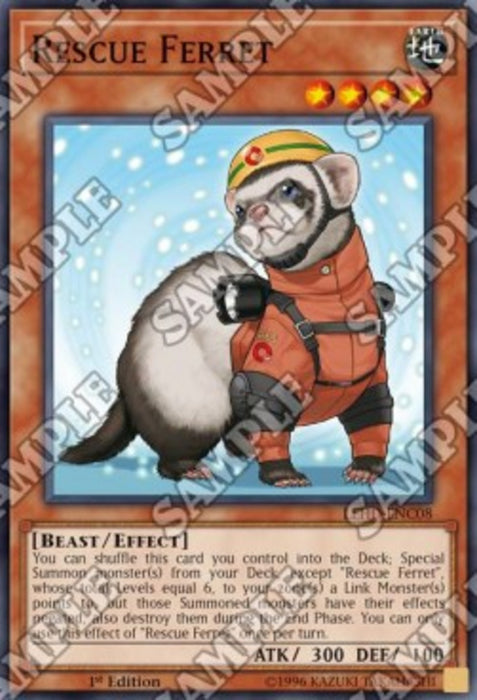 Rescue Ferret LEHD-ENC08 Common Englisch