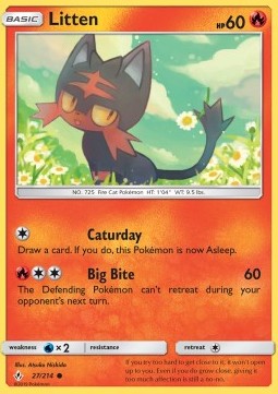 Litten UNB-27 Common Englisch