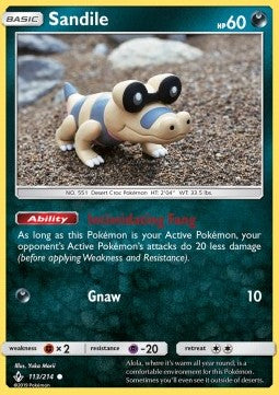 Sandile UNB-113 Common Englisch