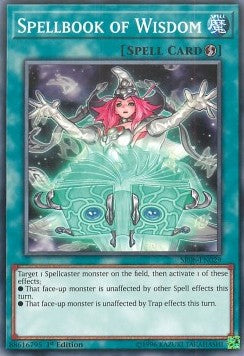 Spellbook of Wisdom SR08-EN029 Common Englisch