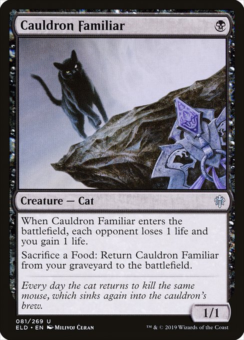 Magic: Cauldron Familiar