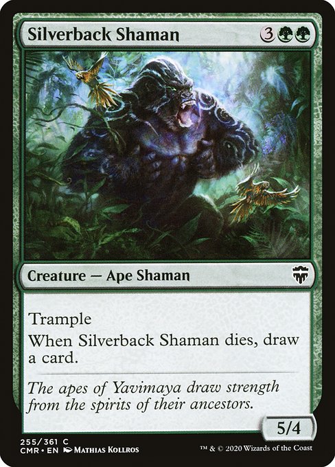 Silverback Shaman CMR-255 Common Englisch