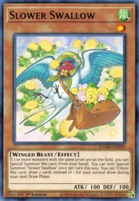 Slower Swallow DAMA-EN029 Common Englisch
