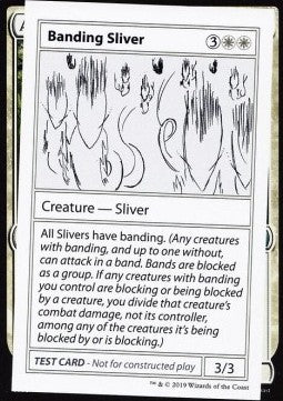 Banding Sliver (V.2) MYSPT- Special Englisch