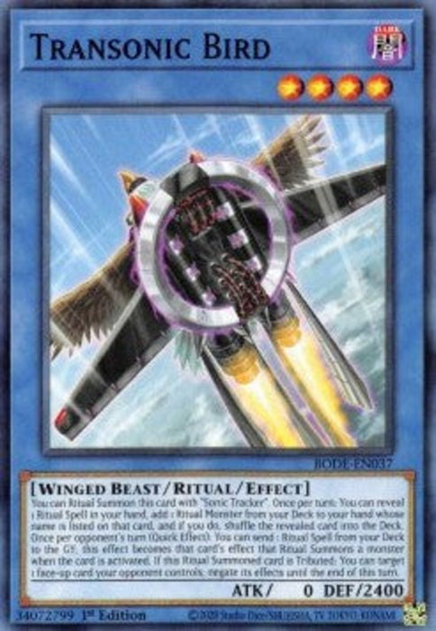 Transonic Bird BODE-EN037 Common Englisch