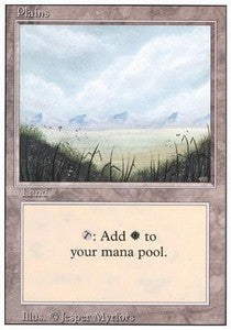 Plains (V.1) 3ED- Land Englisch