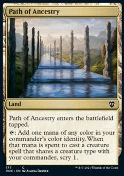 Path of Ancestry VOC-177 Common Englisch