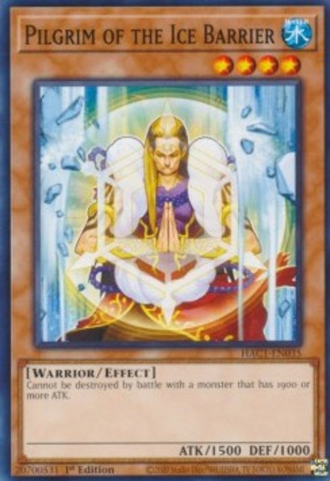 Pilgrim of the Ice Barrier (V.1) HAC1-EN035 Common Englisch