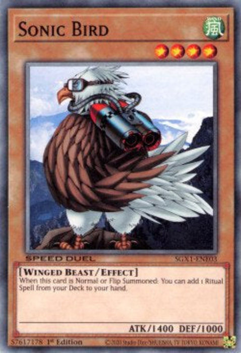Sonic Bird SGX1-ENE03 Common Englisch