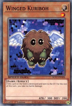 Winged Kuriboh (V.1) SGX1-ENA06 Common Englisch