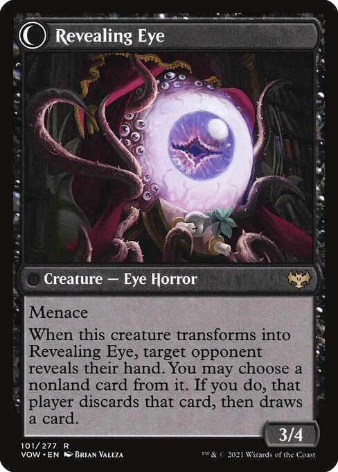 Concealing Curtains // Revealing Eye - Back Face