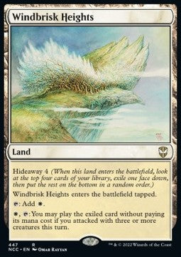 Windbrisk Heights NCC-447 Rare Englisch