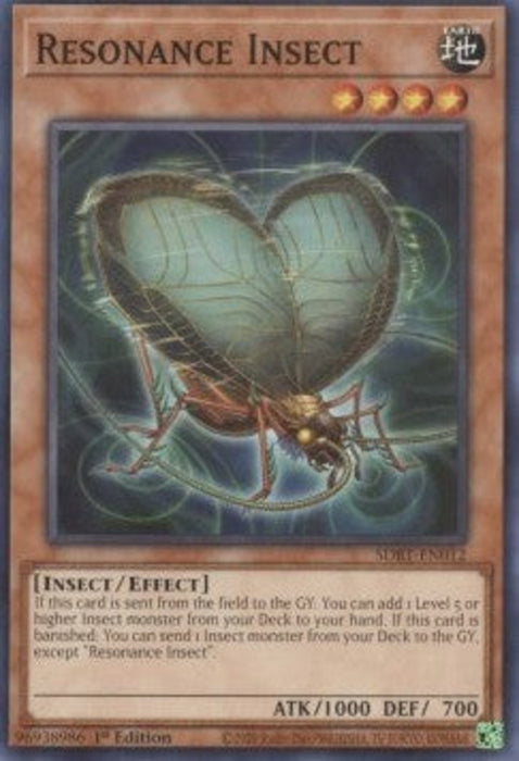 Resonance Insect SDBT-EN012 Common Englisch