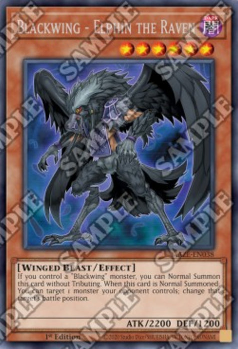 Blackwing - Elphin the Raven MAZE-EN038 Rare Englisch