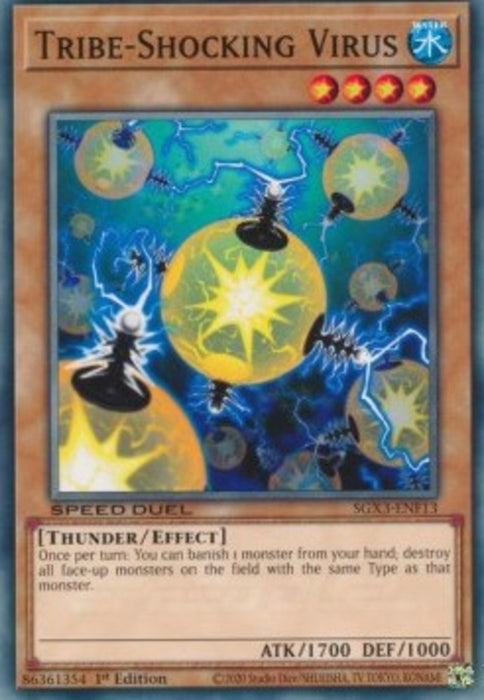 Tribe-Shocking Virus SGX3-ENF13 Common Englisch