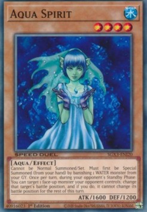 Aqua Spirit SGX3-ENI20 Common Englisch