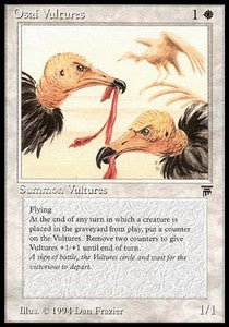 Osai Vultures LEG- Common Englisch